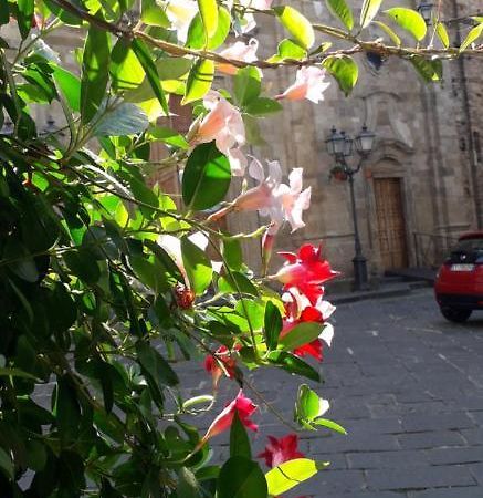 Nenet Bed & Breakfast Guglionesi Luaran gambar